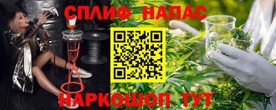 ешки Гай