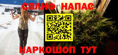 ешки Гай