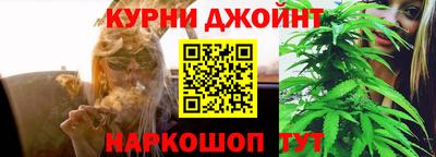 ешки Гай